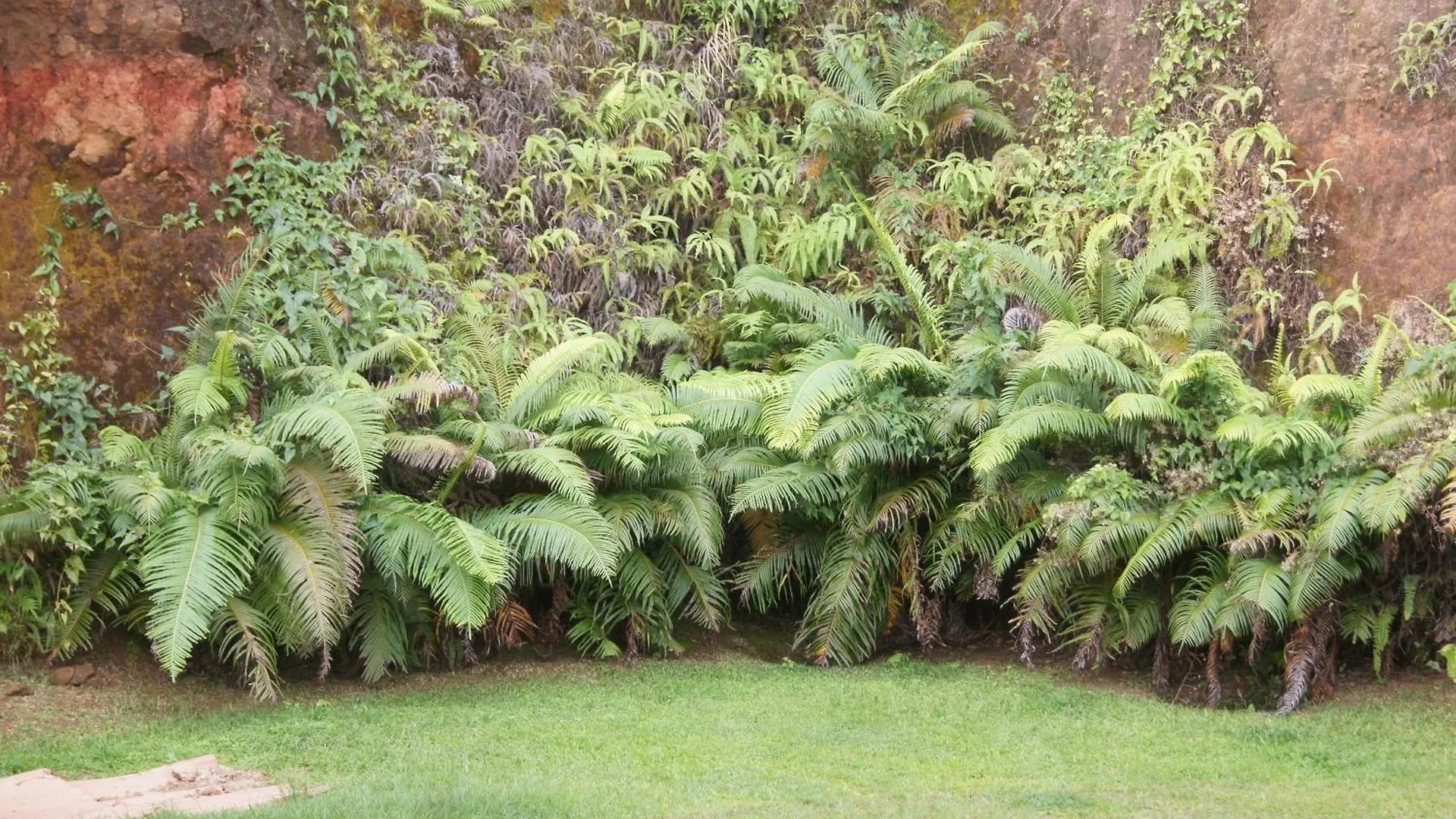 Vanylle Lodge Punaauia  0*, Punaauia (Tahiti)